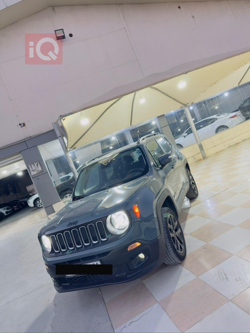 جيب رينيجيد